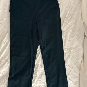 Ann Taylor dark green dress pants